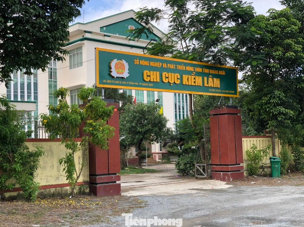 Chi cục kiểm lâm Quảng Ngãi vướng nhiều sai phạm.