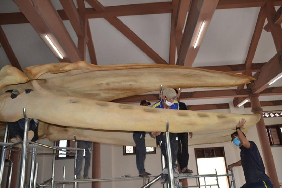 Các công nhân dựng khung sắt đỡ cho bộ xương cá voi.