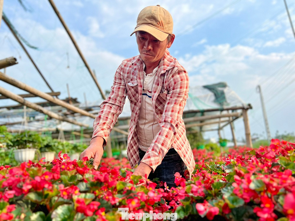 Làng hoa xã Nghĩa Mỹ, Nghĩa Hiệp (huyện Tư Nghĩa, tỉnh Quảng Ngãi) được xem là “thủ phủ” hoa cúc Tết ở Quảng Ngãi, từ bao đời nay với hàng nghìn hộ gắn bó với nghề trồng hoa. Hằng năm, cung cấp hàng trăm nghìn chậu hoa cho thị trường Tết khắp các tỉnh, thành miền Trung, Tây Nguyên.