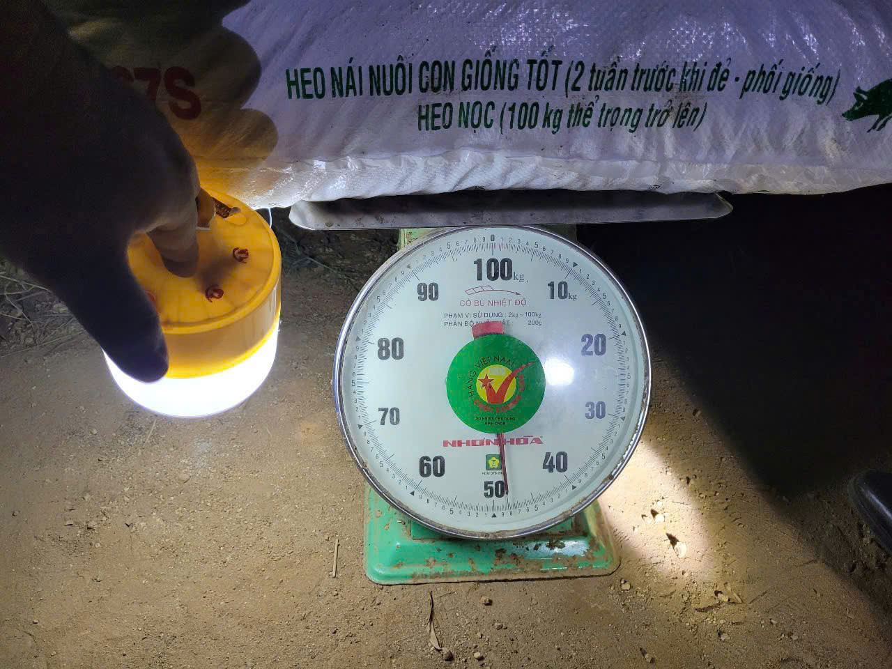 Tang vật tại hiện trường. Ảnh: CACC Tang vật tại hiện trường. Ảnh: CACC