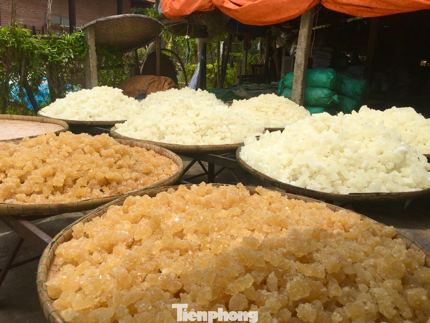 Thời nay, đường phèn có 2 loại, là đường vàng và đường trắng. Màu sắc tùy thuộc vào loại đường cát dùng để nấu là đường cát vàng hay đường cát trắng. Ảnh: Nguyễn Ngọc