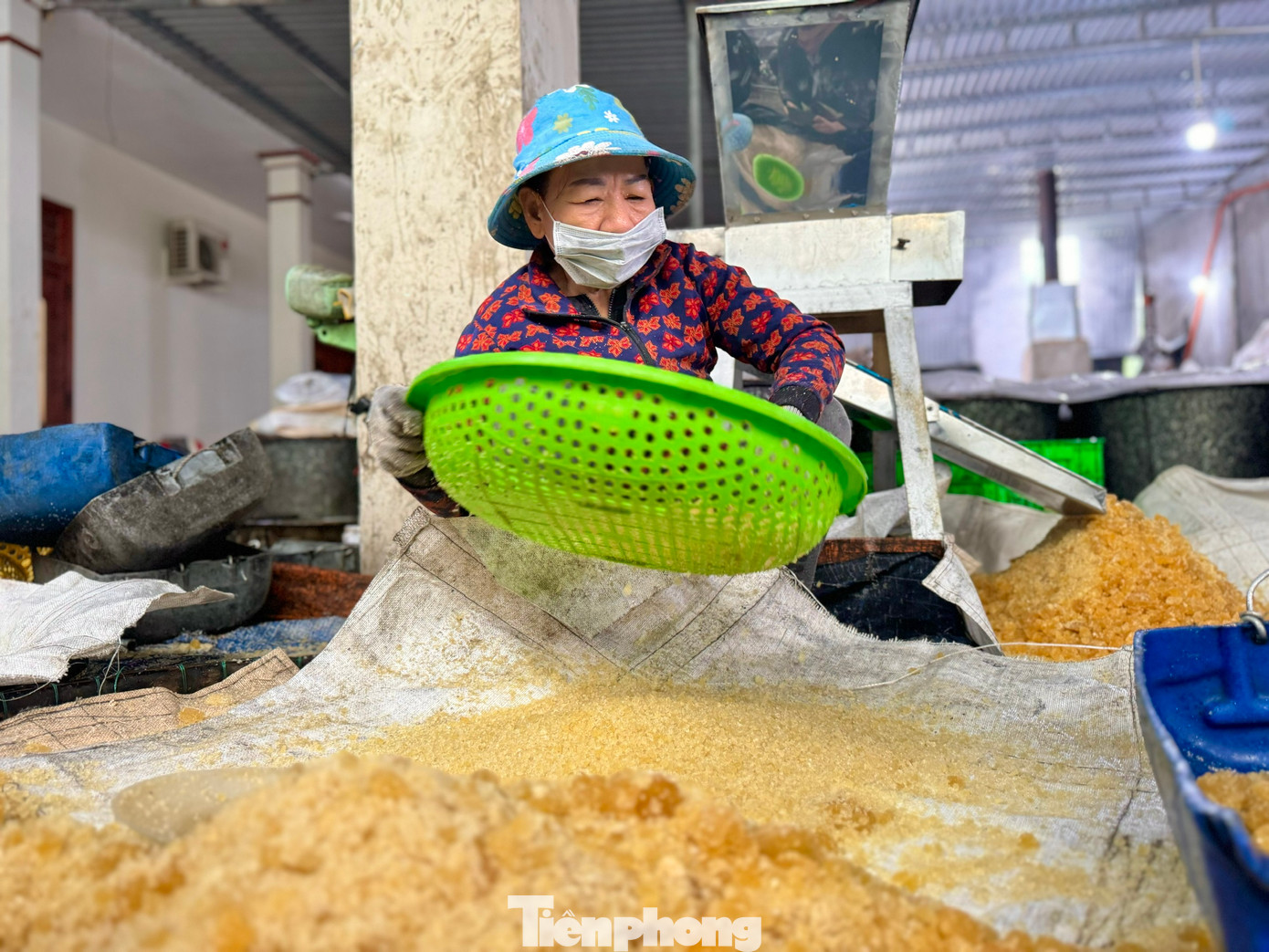 Sau khoảng 7-8 ngày đường phèn sẽ kết tinh, tuy nhiên để đường đẹp, chất lượng cao hơn phải đợi đủ 10-12 ngày. Lúc đó thợ sẽ tách phần mật thừa để lấy đường phèn đi phơi khô hoặc sấy bằng than. Ảnh: Nguyễn Ngọc