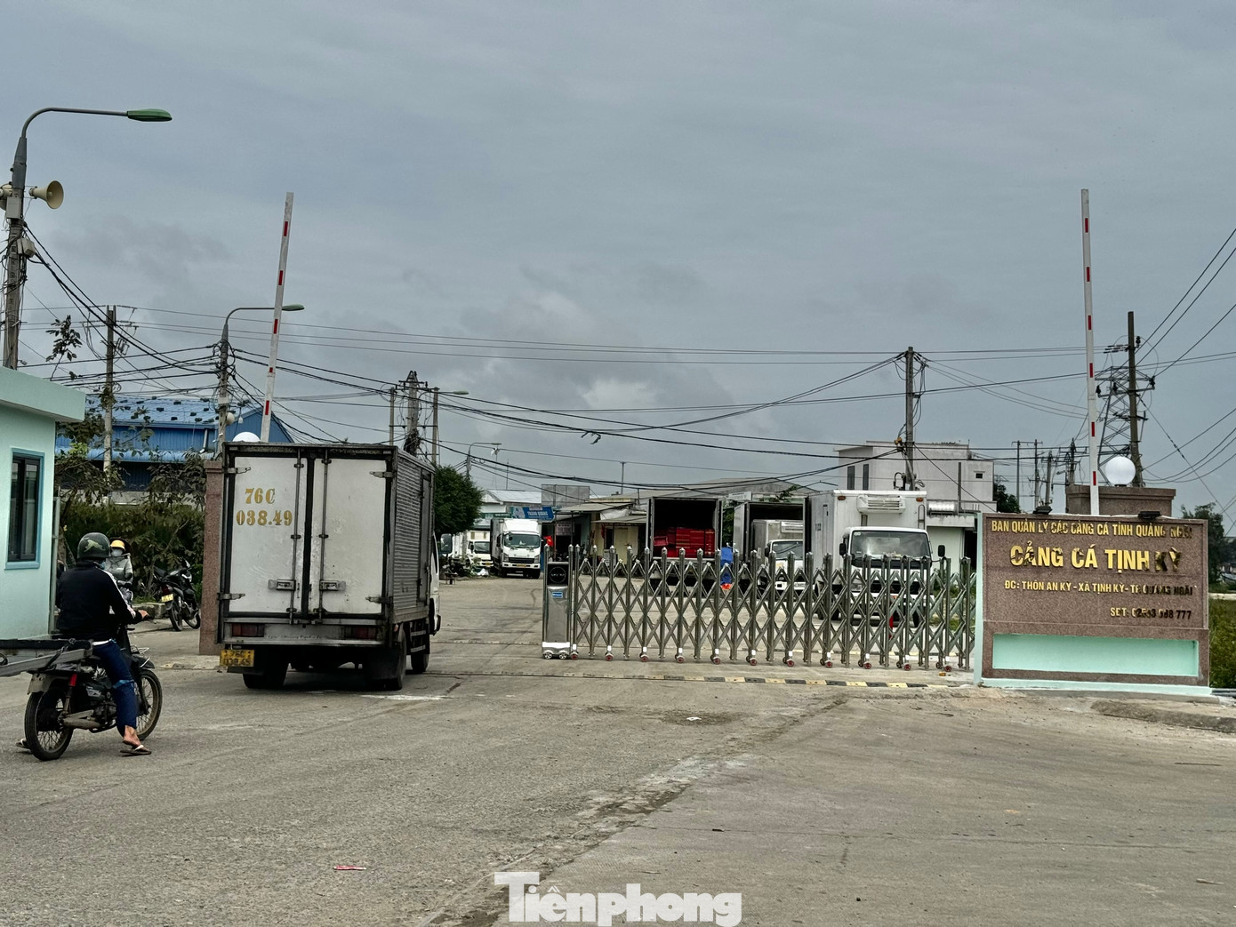 Mỗi ngày ở cảng cá Tịnh Kỳ (xã Tịnh Kỳ, TP. Quảng Ngãi) có đến hàng chục xe đông lạnh ra vào đưa hải sản đi tiêu thụ.