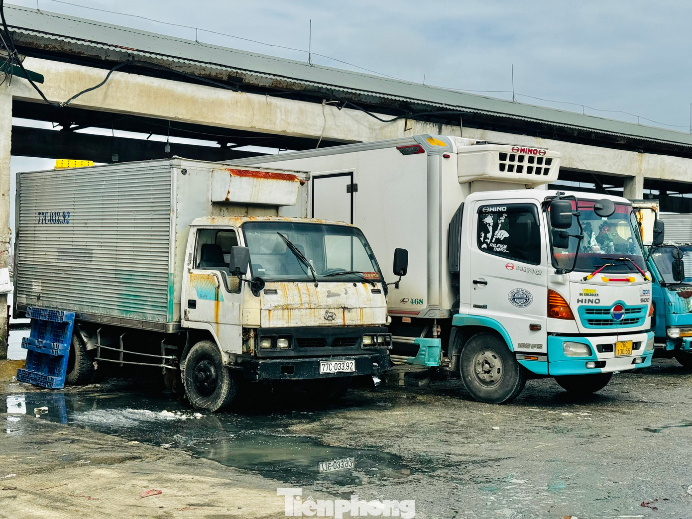 Các xe đông lạnh xả thải trực tiếp tại cảng cá Tịnh Kỳ, nước đọng lại tạo thành những vũng đen kịt, bốc mùi hôi thối nồng nặc.