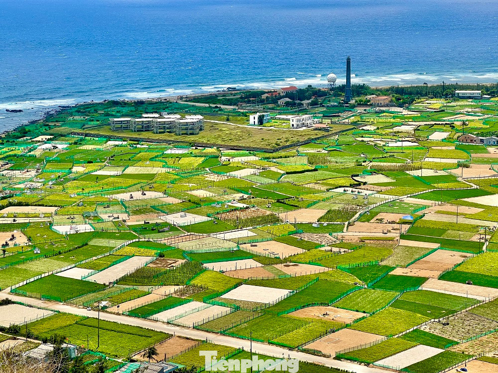 Huyện đảo Lý Sơn hiện có khoảng 18.000 ngôi mộ nằm rải rác trên đảo. Ảnh: Nguyễn Ngọc Huyện đảo Lý Sơn hiện có khoảng 18.000 ngôi mộ nằm rải rác trên đảo. Ảnh: Nguyễn Ngọc