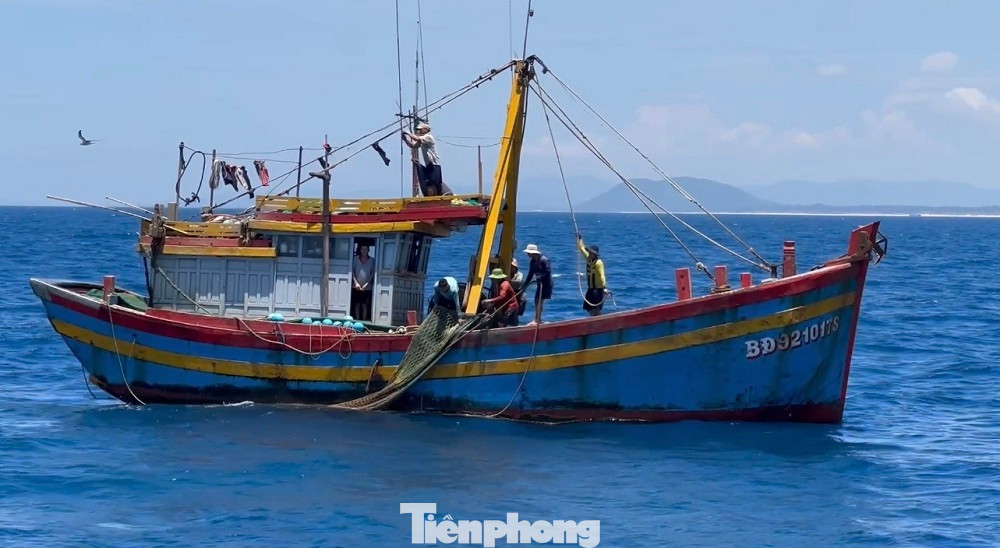 Hai tàu cá của ngư dân tỉnh Bình Định hành nghề giã cào vi phạm các quy định về khai thác thủy sản.
