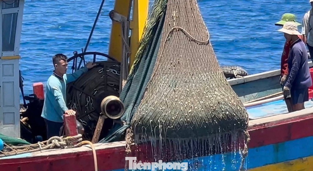 Hai tàu cá của ngư dân tỉnh Bình Định hành nghề giã cào vi phạm các quy định về khai thác thủy sản.