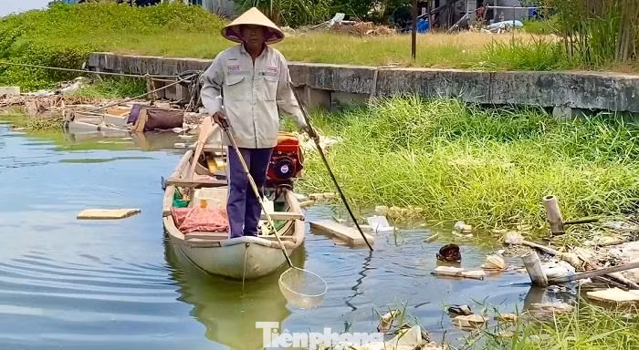 Việc đánh bắt này tận diệt nguồn lợi thủy sản và ảnh hưởng đến hệ sinh thái. Việc đánh bắt này tận diệt nguồn lợi thủy sản và ảnh hưởng đến hệ sinh thái.