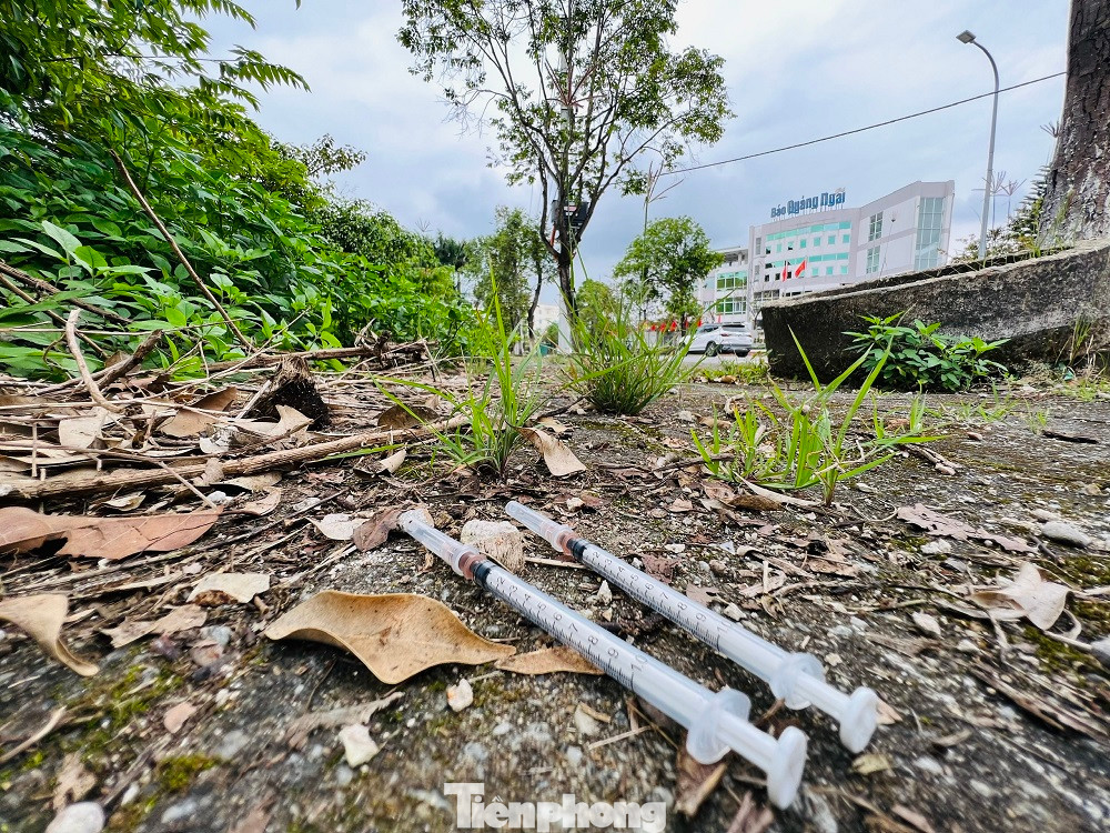 Các đối tượng tụ tập tiêm chích ma túy nhiều nhất ở trong các căn nhà hoang nằm gần đường Cao Bá Quát và bãi cỏ gần đường Hồ Xuân Hương (gần điểm trồng cây đa 200 tuổi). Các đối tượng tụ tập tiêm chích ma túy nhiều nhất ở trong các căn nhà hoang nằm gần đường Cao Bá Quát và bãi cỏ gần đường Hồ Xuân Hương (gần điểm trồng cây đa 200 tuổi).