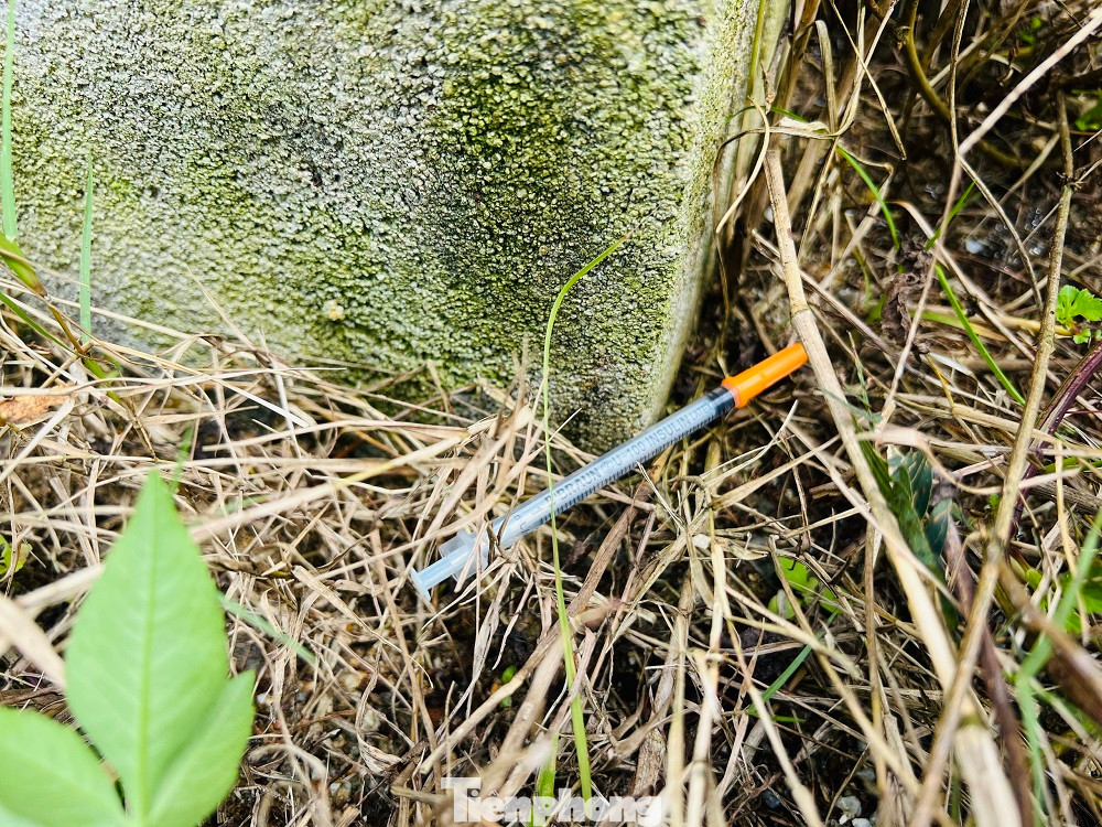 Kim tiêm rơi vãi khắp các tuyến đường lên núi Thiên Bút. Kim tiêm rơi vãi khắp các tuyến đường lên núi Thiên Bút.