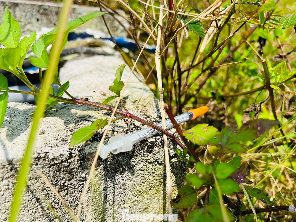 Kim tiêm rơi vãi khắp các tuyến đường lên núi Thiên Bút. Kim tiêm rơi vãi khắp các tuyến đường lên núi Thiên Bút.