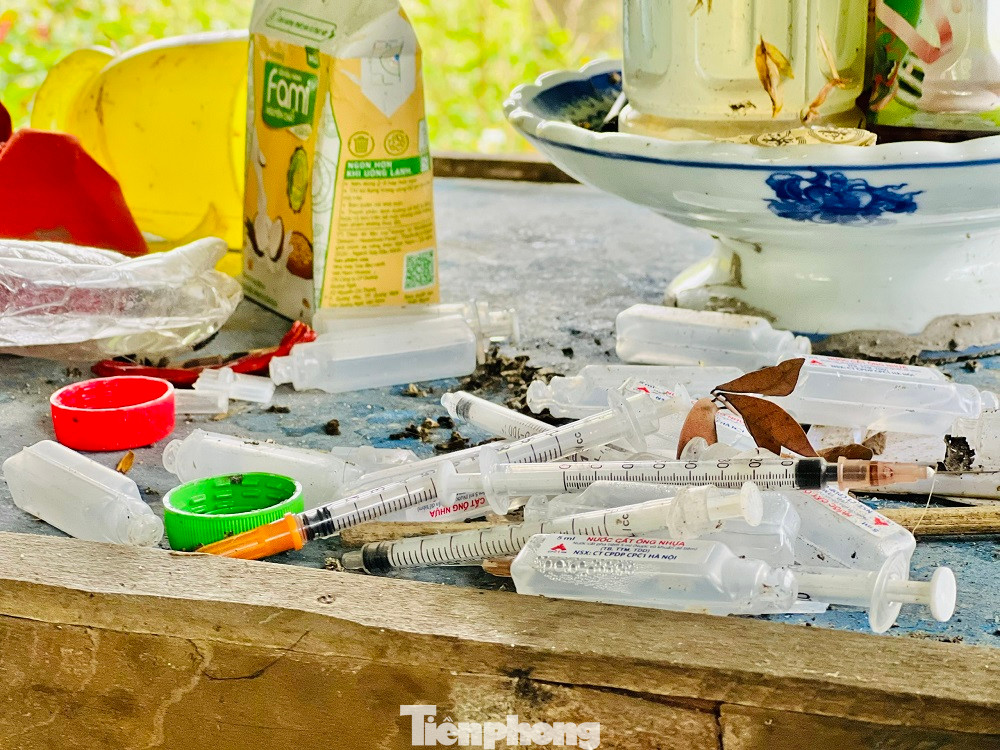 Các đối tượng tụ tập tiêm chích ma túy nhiều nhất ở trong các căn nhà hoang nằm gần đường Cao Bá Quát và bãi cỏ gần đường Hồ Xuân Hương (gần điểm trồng cây đa 200 tuổi). Các đối tượng tụ tập tiêm chích ma túy nhiều nhất ở trong các căn nhà hoang nằm gần đường Cao Bá Quát và bãi cỏ gần đường Hồ Xuân Hương (gần điểm trồng cây đa 200 tuổi).