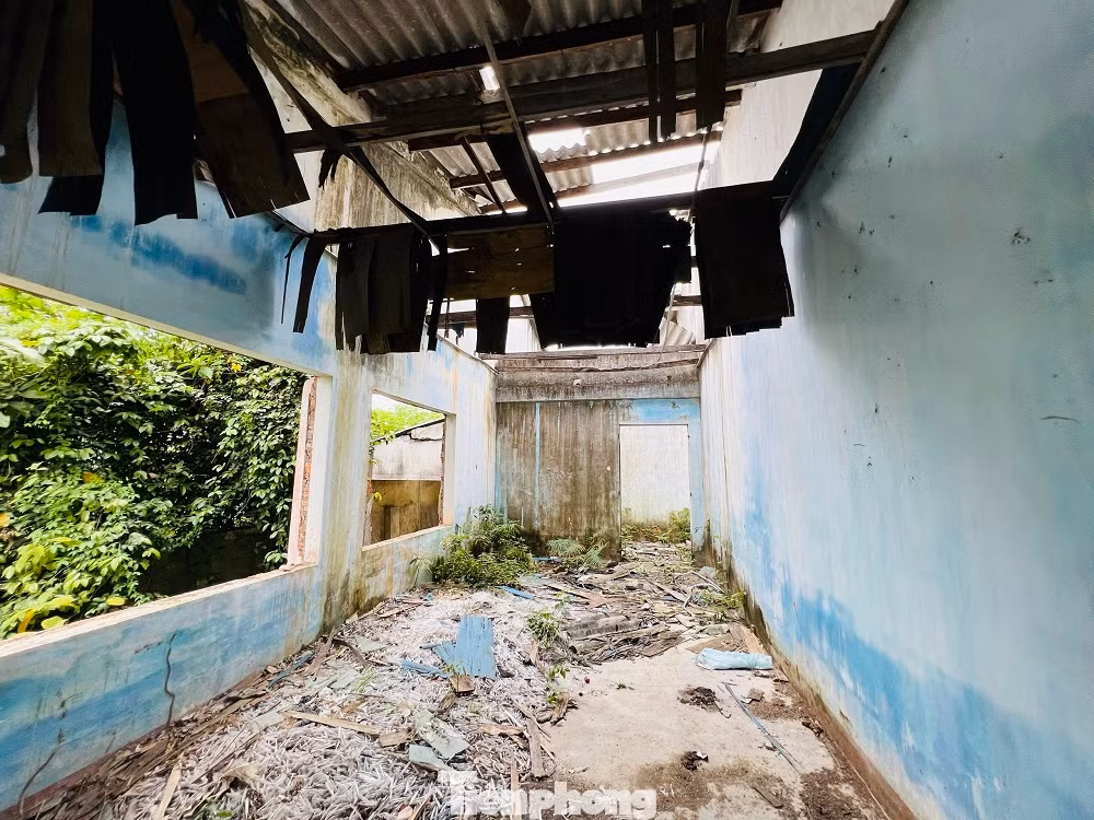 Những căn nhà hoang trở thành tụ điểm tiêm chích ma túy của các đối tượng nghiện. Những căn nhà hoang trở thành tụ điểm tiêm chích ma túy của các đối tượng nghiện.