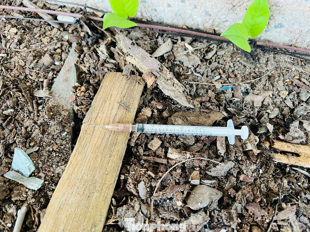 Kim tiêm rơi vãi khắp các tuyến đường lên núi Thiên Bút. Kim tiêm rơi vãi khắp các tuyến đường lên núi Thiên Bút.