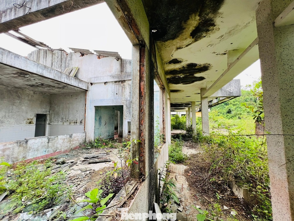 Những căn nhà hoang trở thành tụ điểm tiêm chích ma túy của các đối tượng nghiện. Những căn nhà hoang trở thành tụ điểm tiêm chích ma túy của các đối tượng nghiện.