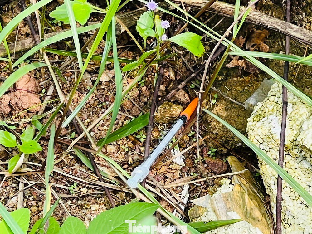 Kim tiêm rơi vãi khắp các tuyến đường lên núi Thiên Bút. Kim tiêm rơi vãi khắp các tuyến đường lên núi Thiên Bút.