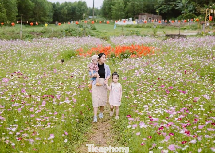 Du khách tham quan, check in ở khu vườn của anh Phương