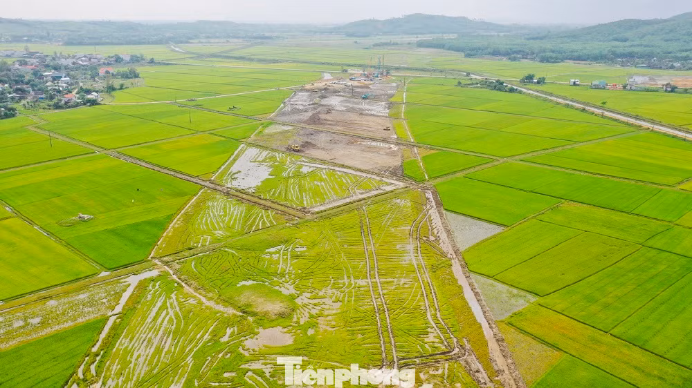 Tỉnh Quảng Ngãi kiến nghị bổ sung gần 169ha rừng, đất rừng, đất lúa để làm cao tốc. Tỉnh Quảng Ngãi kiến nghị bổ sung gần 169ha rừng, đất rừng, đất lúa để làm cao tốc.