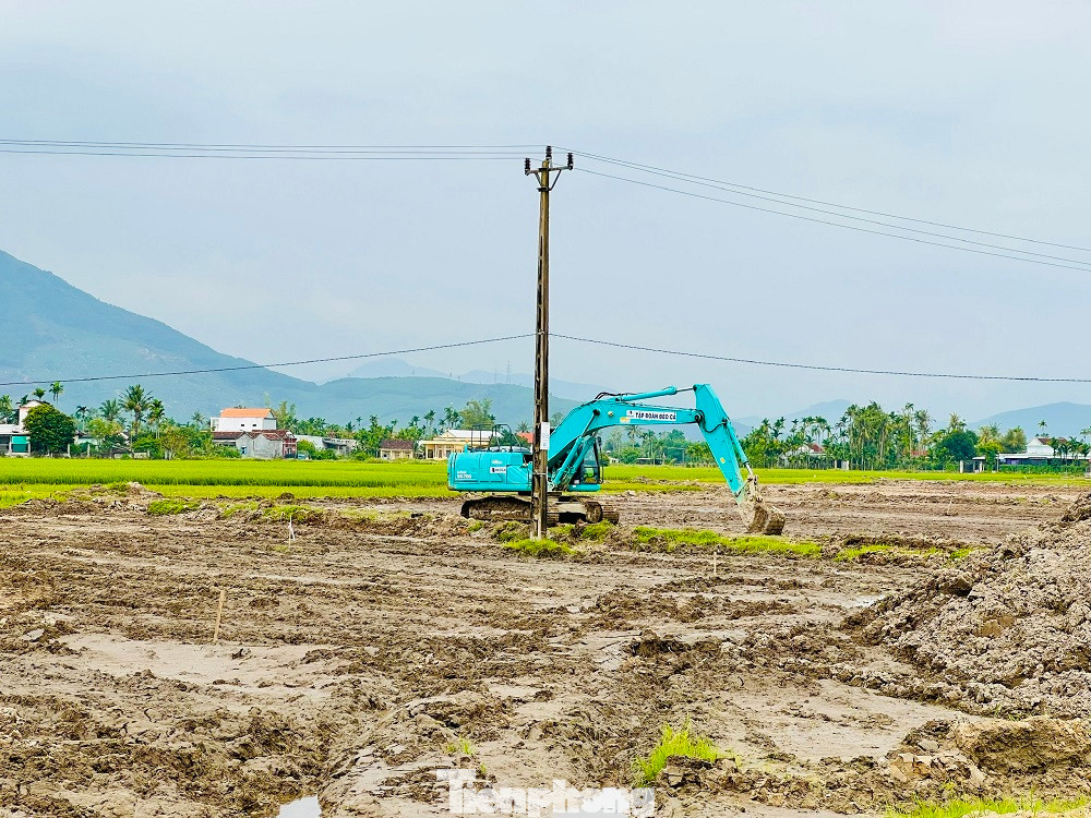 Triển khai thi công dự án cao tốc Quảng Ngãi - Hoài Nhơn đoạn qua huyện Mộ Đức.