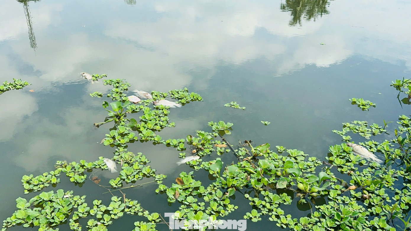 Nước sông có màu đen đục. Ảnh: Nguyễn Ngọc