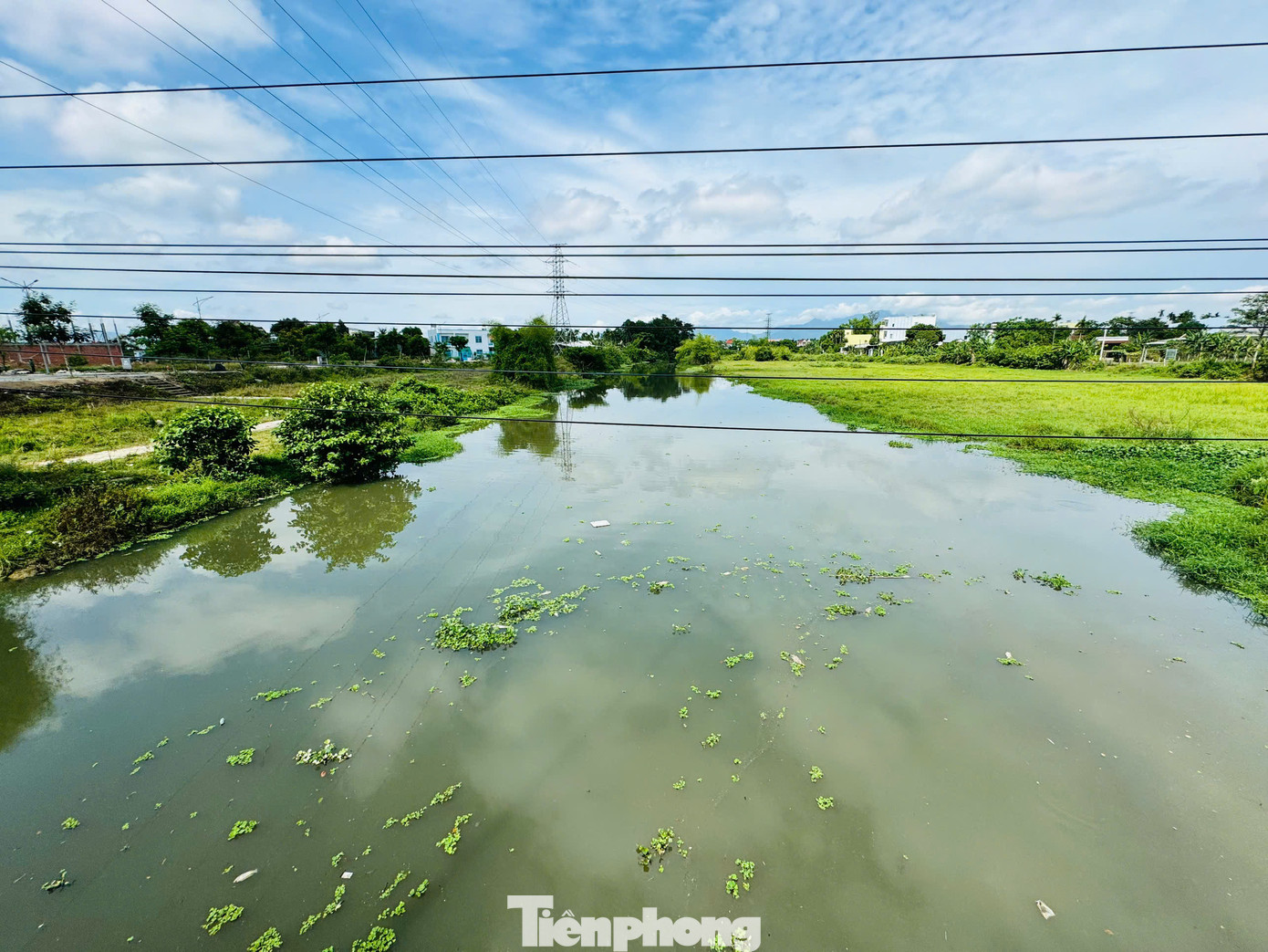 Tình trạng nước sông đổi màu, xuất hiện cá chết diễn ra trong 2-3 ngày trở lại đây. Ảnh: Nguyễn Ngọc