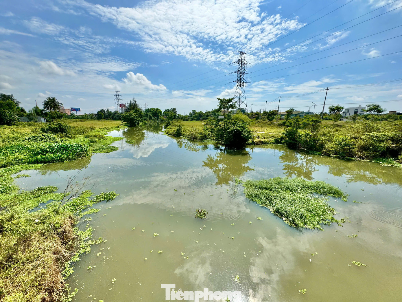 Tình trạng nước sông đổi màu, xuất hiện cá chết diễn ra trong 2-3 ngày trở lại đây. Ảnh: Nguyễn Ngọc