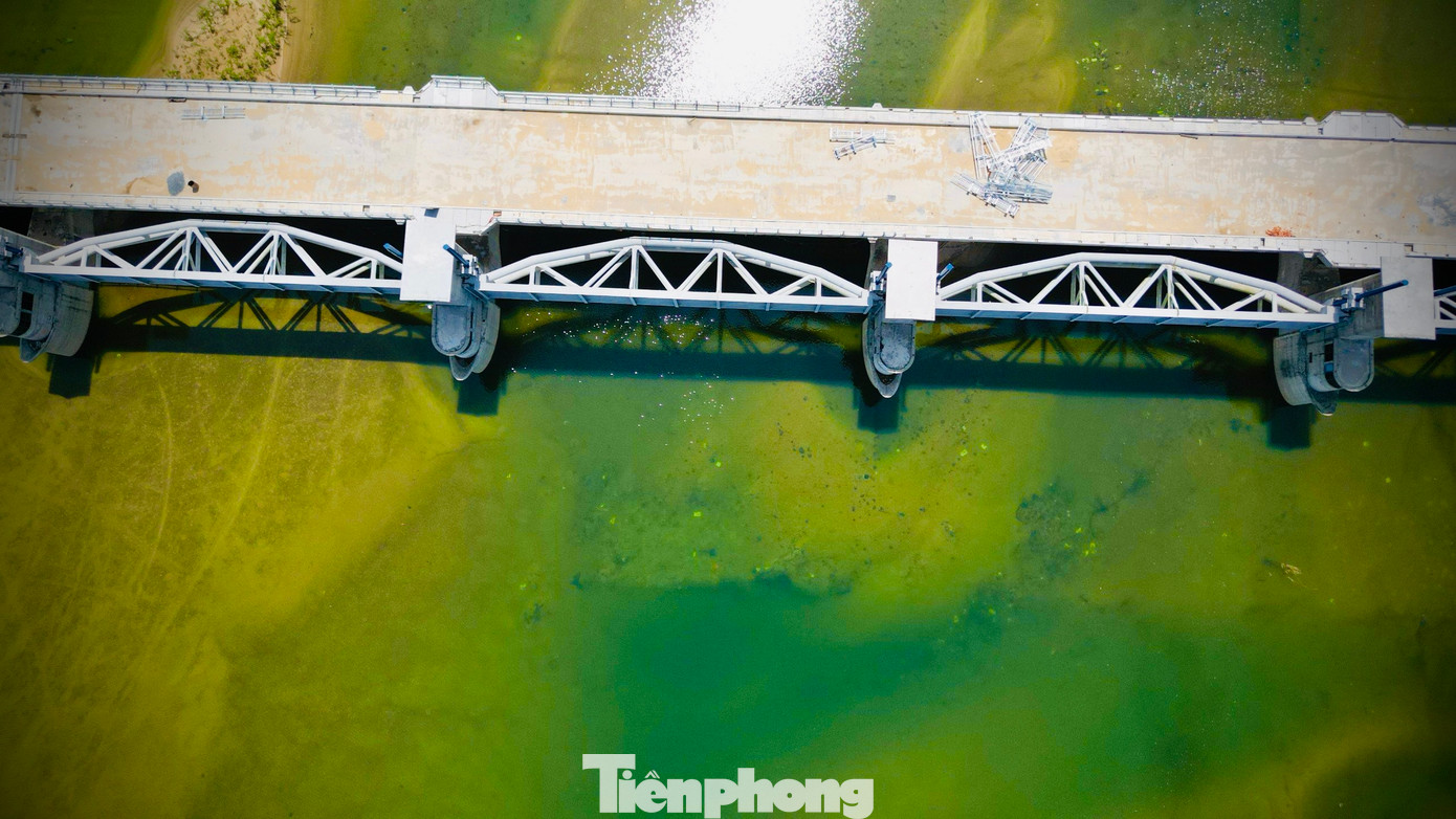 Dự án gồm cống ngăn sông 19 khoang, với tổng bề rộng gần 720m; bốn khoang tràn Piano; đường cá đi rộng 5m; cầu và đường giao thông có tổng chiều dài hơn 974m, chiều rộng mặt cầu 12m... Cầu trên đập giúp kết nối 2 bờ sông Trà Khúc, tạo thuận lợi cho người dân qua lại giữa tuyến đường Hoàng Sa ở bờ Bắc và Trường Sa ở bờ Nam. Ảnh: H.Nam