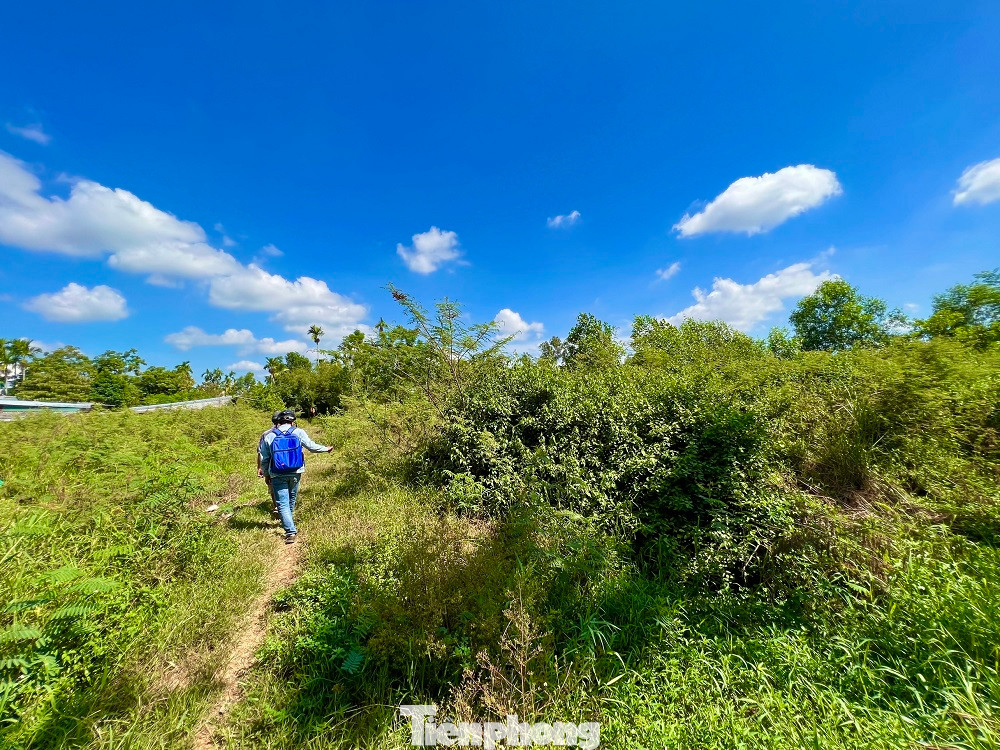 Năm 2016, UBND tỉnh Quảng Ngãi đưa ra 2 phương án cho nhà đầu tư. Một là dự án tiếp tục được thực hiện theo đúng tiến độ giấy chứng nhận đầu tư đã điều chỉnh; hai là chuyển nhượng dự án cho nhà đầu tư khác.