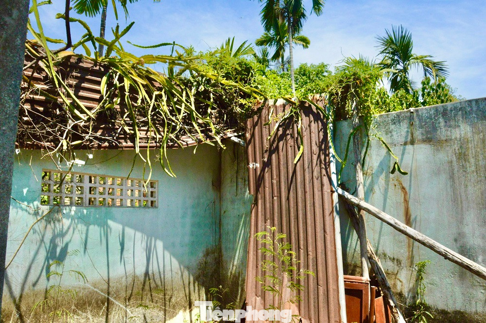 Dự án giậm chân tại chỗ, khiến 160 hộ dân nằm trong vùng quy hoạch buộc phải sống “treo” theo dự án suốt 15 năm và không biết phải đợi đến bao giờ. Những thửa ruộng đất màu mỡ đã thu hồi rồi bỏ hoang, nhà cửa thì xuống cấp mà xây chẳng được, sửa cũng chẳng xong do vướng quy hoạch.