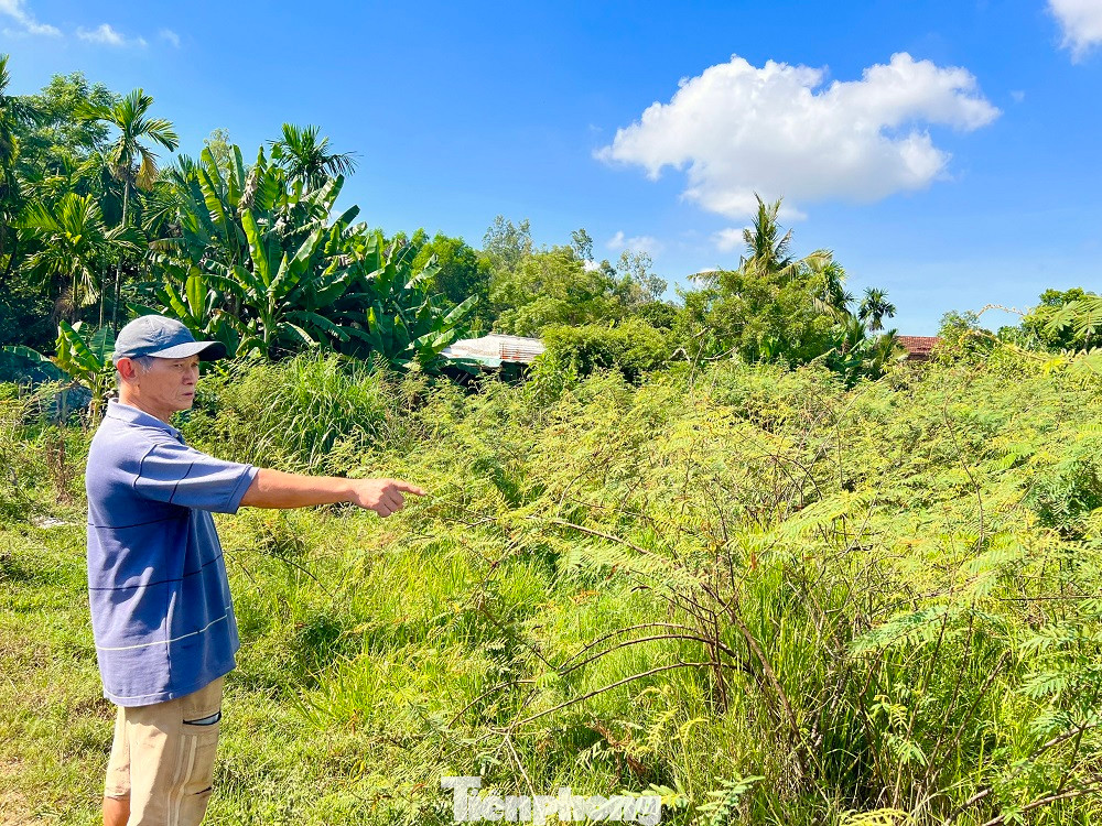 Năm 2016, UBND tỉnh Quảng Ngãi đưa ra 2 phương án cho nhà đầu tư. Một là dự án tiếp tục được thực hiện theo đúng tiến độ giấy chứng nhận đầu tư đã điều chỉnh; hai là chuyển nhượng dự án cho nhà đầu tư khác.