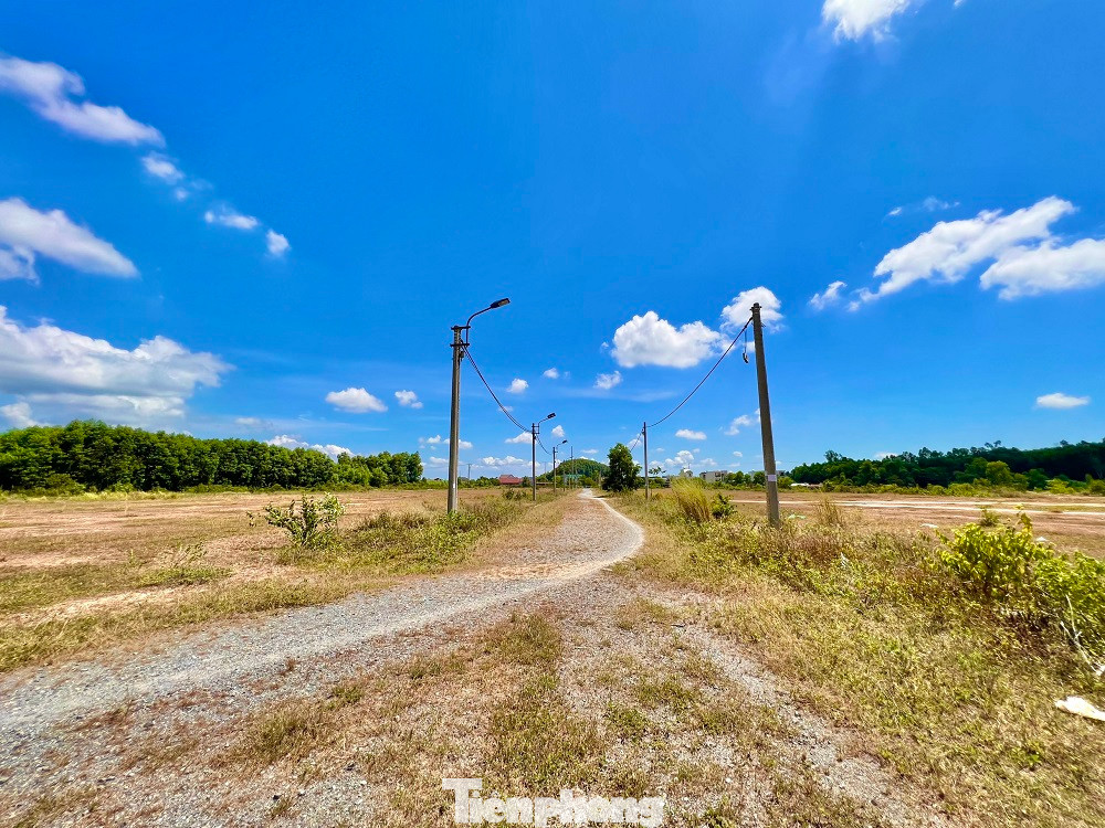 Dự án treo nhiều năm, gây lãng phí đất đai, nhiều lần chủ đầu tư bị chính quyền tỉnh Quảng Ngãi nhắc nhở. Năm 2014, chủ đầu tư xin gia hạn tiến độ và được điều chỉnh giấy chứng nhận đầu tư, thời gian thực hiện từ 2014 đến năm 2018. Nhưng rồi, chủ đầu tư vẫn không triển khai dự án.