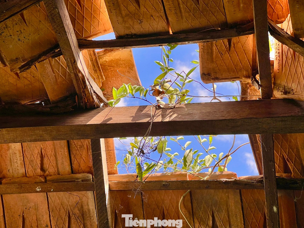 “Về phía chính quyền địa phương đã yêu cầu nhà đầu tư khảo sát, chuẩn xác năng lực và điều chỉnh Quy hoạch chi tiết 1/500, loại ra quy hoạch những phần vượt quá khả năng đầu tư và không phù hợp thực tế. Dự án kéo dài quá lâu đã ảnh hưởng đến người dân trong khu vực. Tuy nhiên, trong khi chờ hướng dẫn từ phía Trung ương, vẫn chưa thể kết luận dự án tiếp tục hay dừng lại”, ông Danh nói thêm.