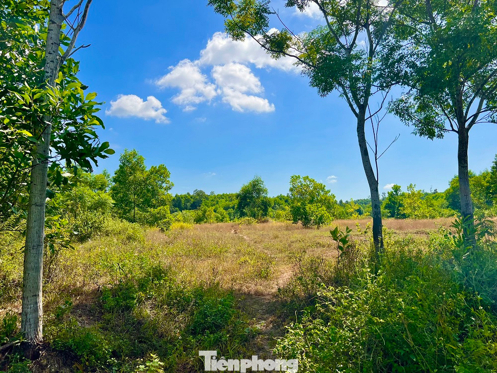 Theo kế hoạch, toàn bộ công trình hoàn thành sau 4 năm kể từ khi được cấp giấy chứng nhận đầu tư. Nhưng đến 2011, dự án mới chỉ giải phóng mặt bằng 12 ha, đạt 22%, với tổng chi phí bồi thường hơn 20 tỷ đồng. Kể từ đó đến nay, dự án này hầu như không triển khai.