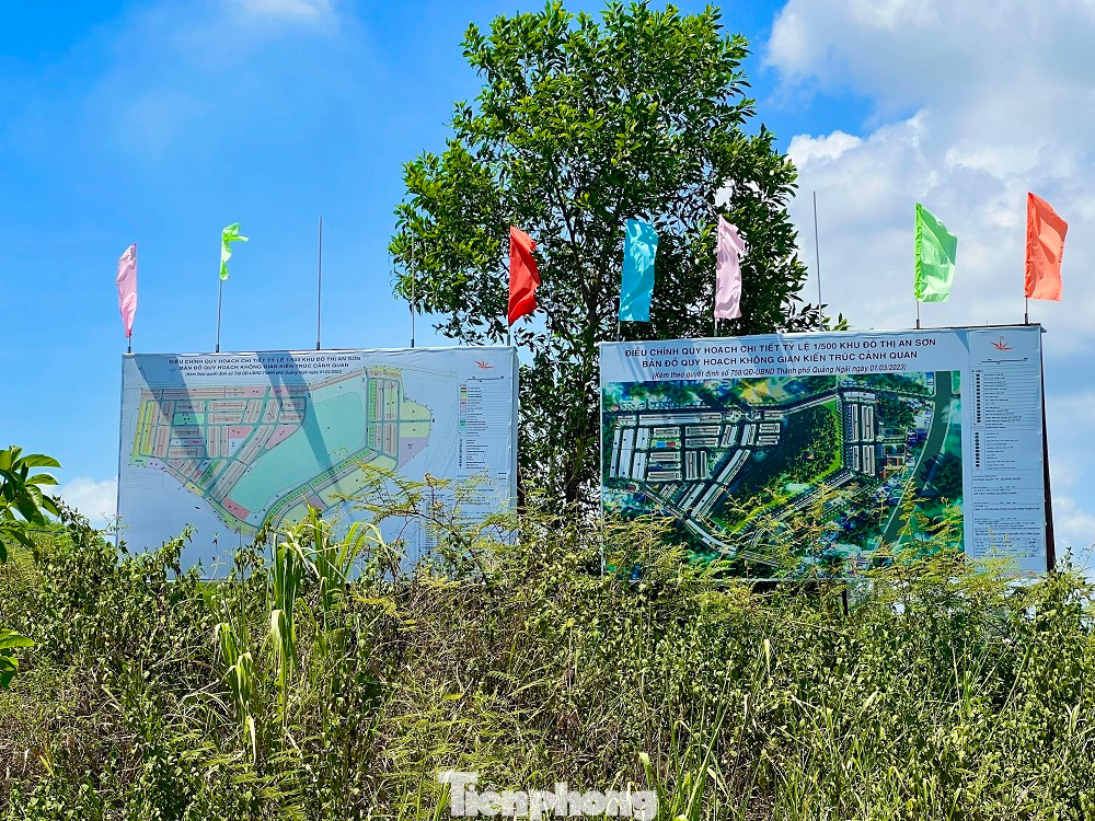 Thời điểm đó, chủ đầu tư công bố dự án này là khu đô thị thương mại, dịch vụ phục vụ nhu cầu mua sắm, giải trí của người dân địa phương. Dự án có khu nhà ở gồm 237 nhà liền kề, 183 nhà biệt thự vườn, 56 bungalow, 5 khu thương mại - dịch vụ.