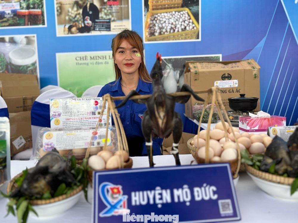 Đại hội đại biểu Đoàn TNCS Hồ Chí Minh tỉnh Quảng Ngãi lần thứ 15, nhiệm kỳ 2022 - 2027 diễn ra trong hai ngày 1/10 - 2/10/2022 tại Hội trường Nhà văn hóa Lao Động tỉnh. Đại hội chia làm 3 phiên với sự tham gia của 244 đại biểu chính thức đại diện cho hơn 57.000 đoàn viên trong tỉnh.