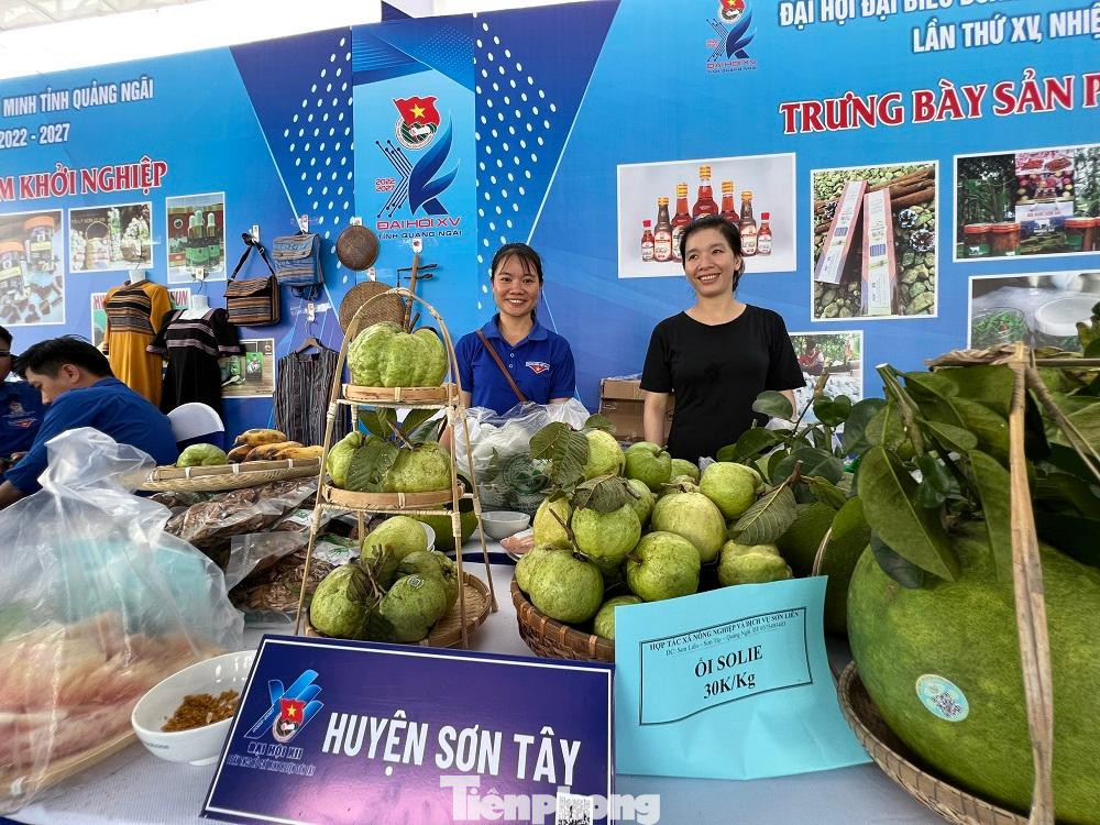 Các sản phẩm rất đa dạng từ xuất xứ đến chủng loại.