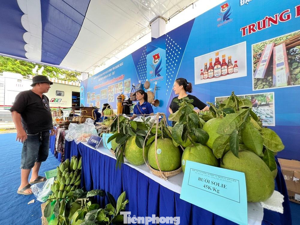 Các sản phẩm rất đa dạng từ xuất xứ đến chủng loại.