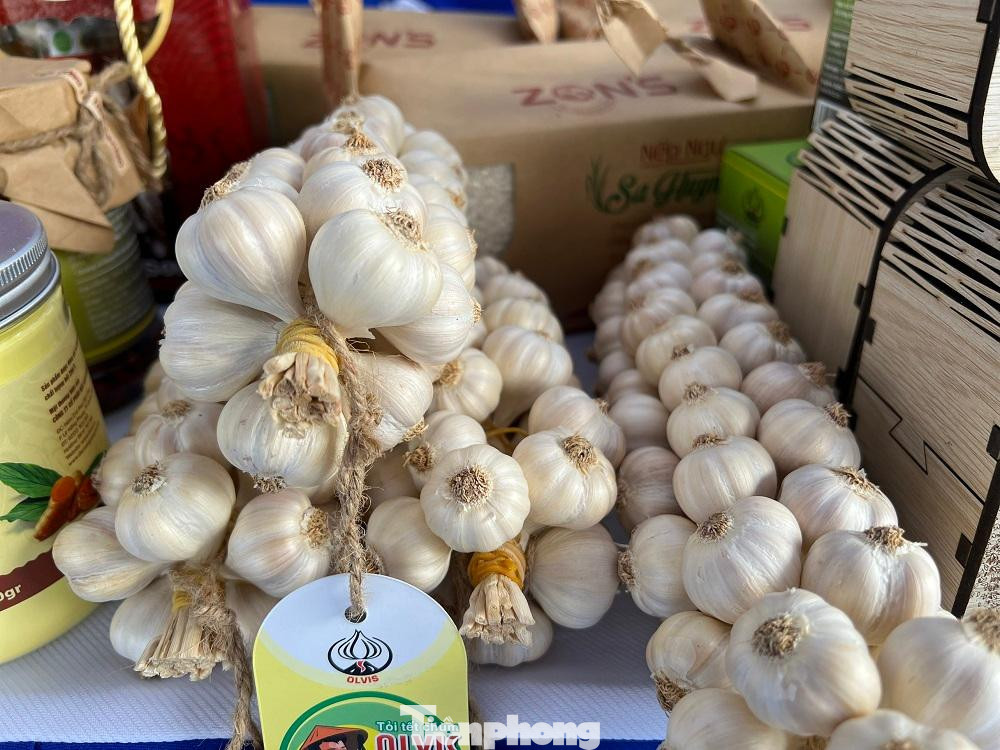 Sản phẩm đặc trưng của các huyện, thị Đoàn trên địa bàn tỉnh Quảng Ngãi đều được giới thiệu tại đây.