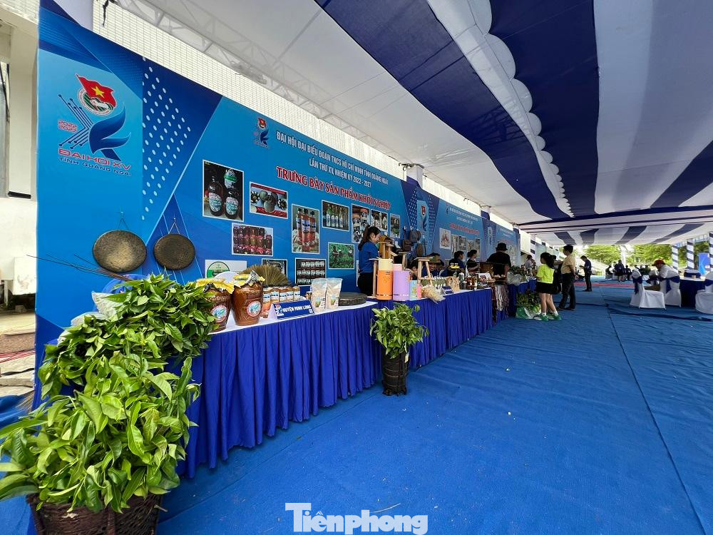 Các sản phẩm rất đa dạng từ xuất xứ đến chủng loại.