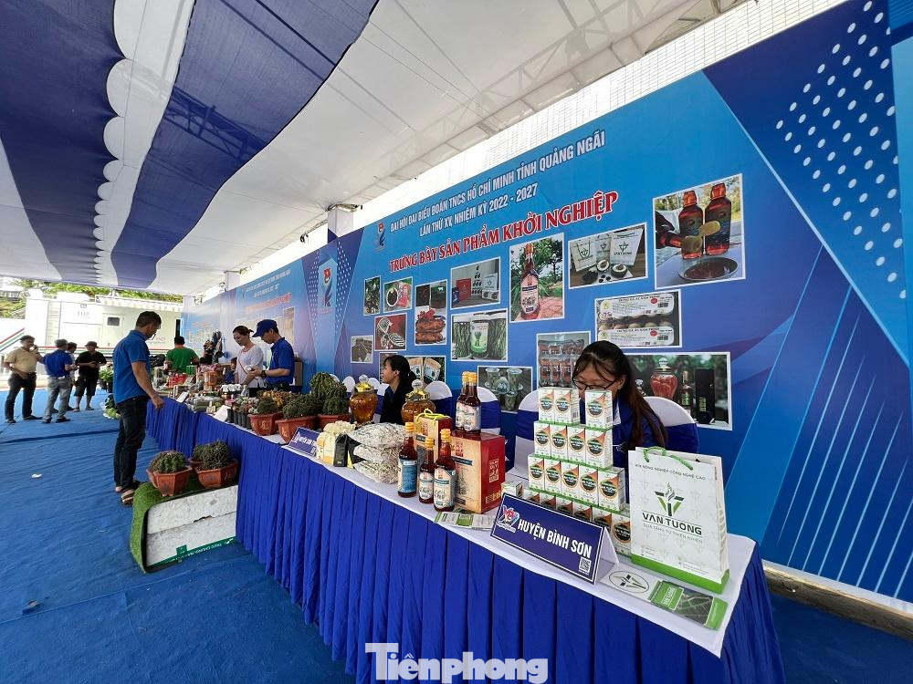 Các sản phẩm rất đa dạng từ xuất xứ đến chủng loại.