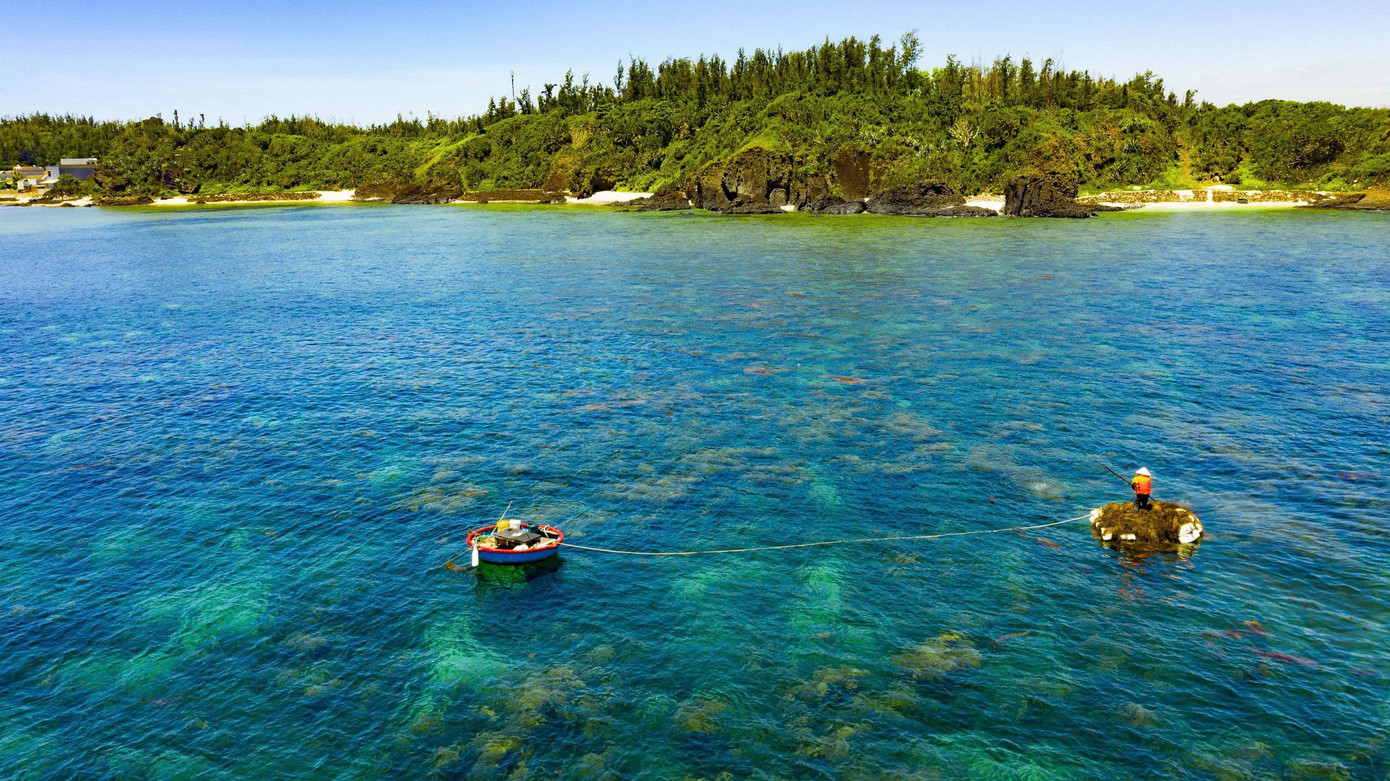 Ngư dân ven biển Quảng Ngãi khai thác rong mơ. Ảnh: Hải Phong Ngư dân ven biển Quảng Ngãi khai thác rong mơ. Ảnh: Hải Phong