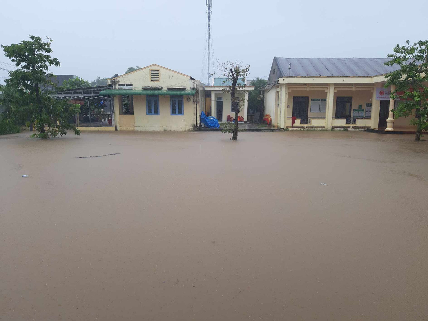 Đến sáng ngày 14/11, tại các xã Hành Dũng, Hành Nhân (huyện Nghĩa Hành) bị ngập khoảng 0,5 - 1m. Đến sáng ngày 14/11, tại các xã Hành Dũng, Hành Nhân (huyện Nghĩa Hành) bị ngập khoảng 0,5 - 1m.