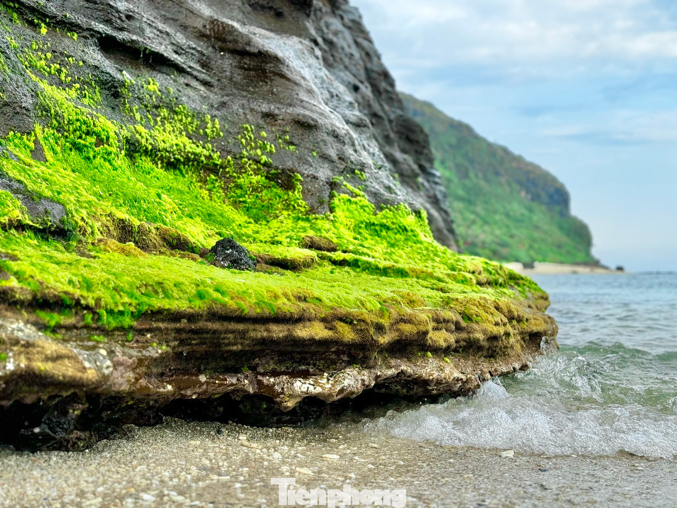 Những thảm rêu xanh mướt. Ảnh: Nguyễn Ngọc.