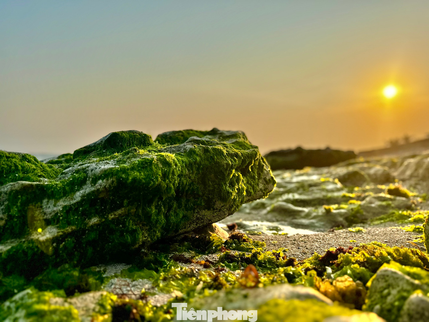 Khi hoàng hôn buông xuống, các bãi đá phủ kín rêu xanh tạo nên “phim trường lãng mạn” mê hoặc du khách. Ảnh: Nguyễn Ngọc.