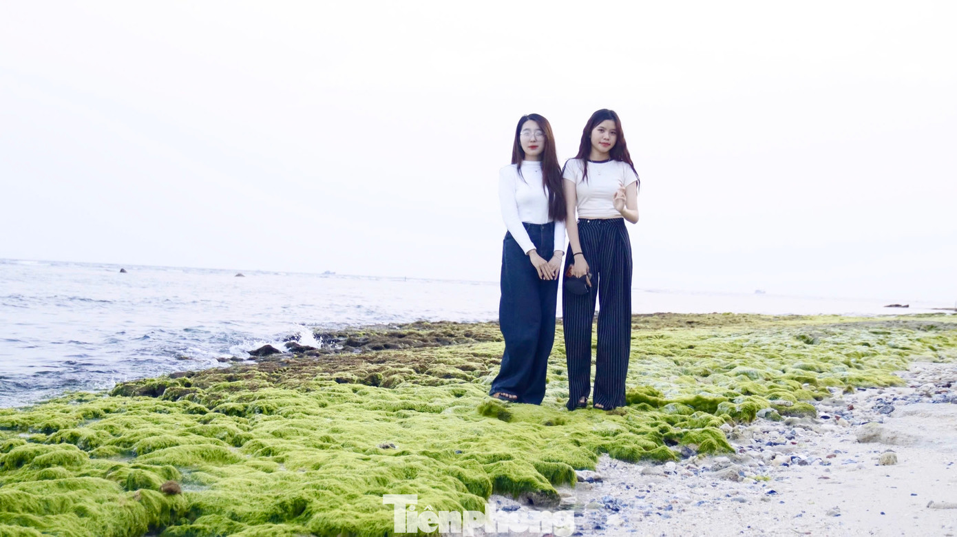 Nhiều bạn trẻ check-in trên “thảm rêu” ở thắng cảnh Hang Câu và Cổng Tò Vò. Ảnh: Nguyễn Ngọc.