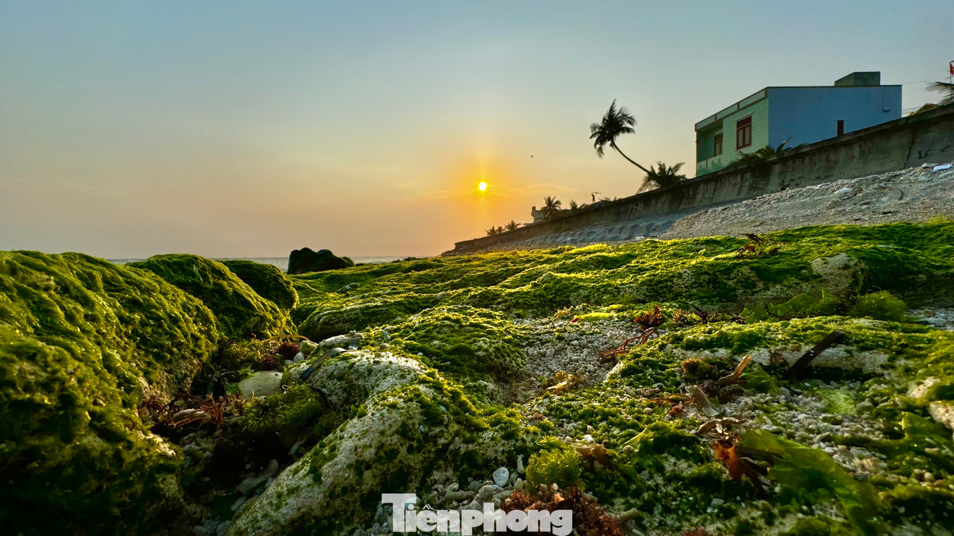 Khi hoàng hôn buông xuống, các bãi đá phủ kín rêu xanh tạo nên “phim trường lãng mạn” mê hoặc du khách. Ảnh: Nguyễn Ngọc.