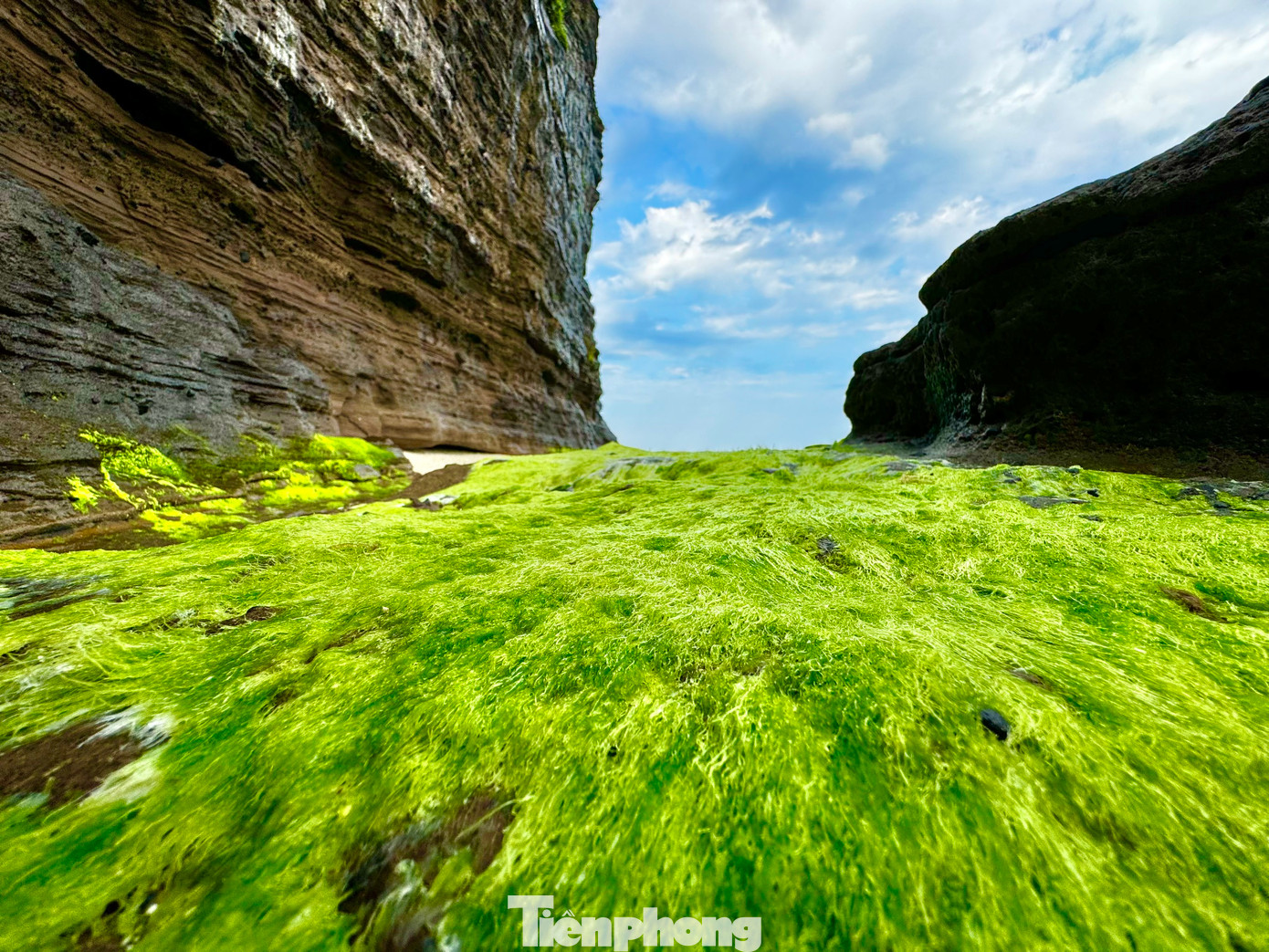 Nằm dưới chân núi Thới Lới, thắng cảnh Hang Câu là một trong những nơi có thảm rêu xanh đẹp nhất. Những lớp rêu phủ kín các tảng đá lớn, tạo nên một khung cảnh xanh mướt giữa biển trời rộng lớn. Ảnh: Nguyễn Ngọc.