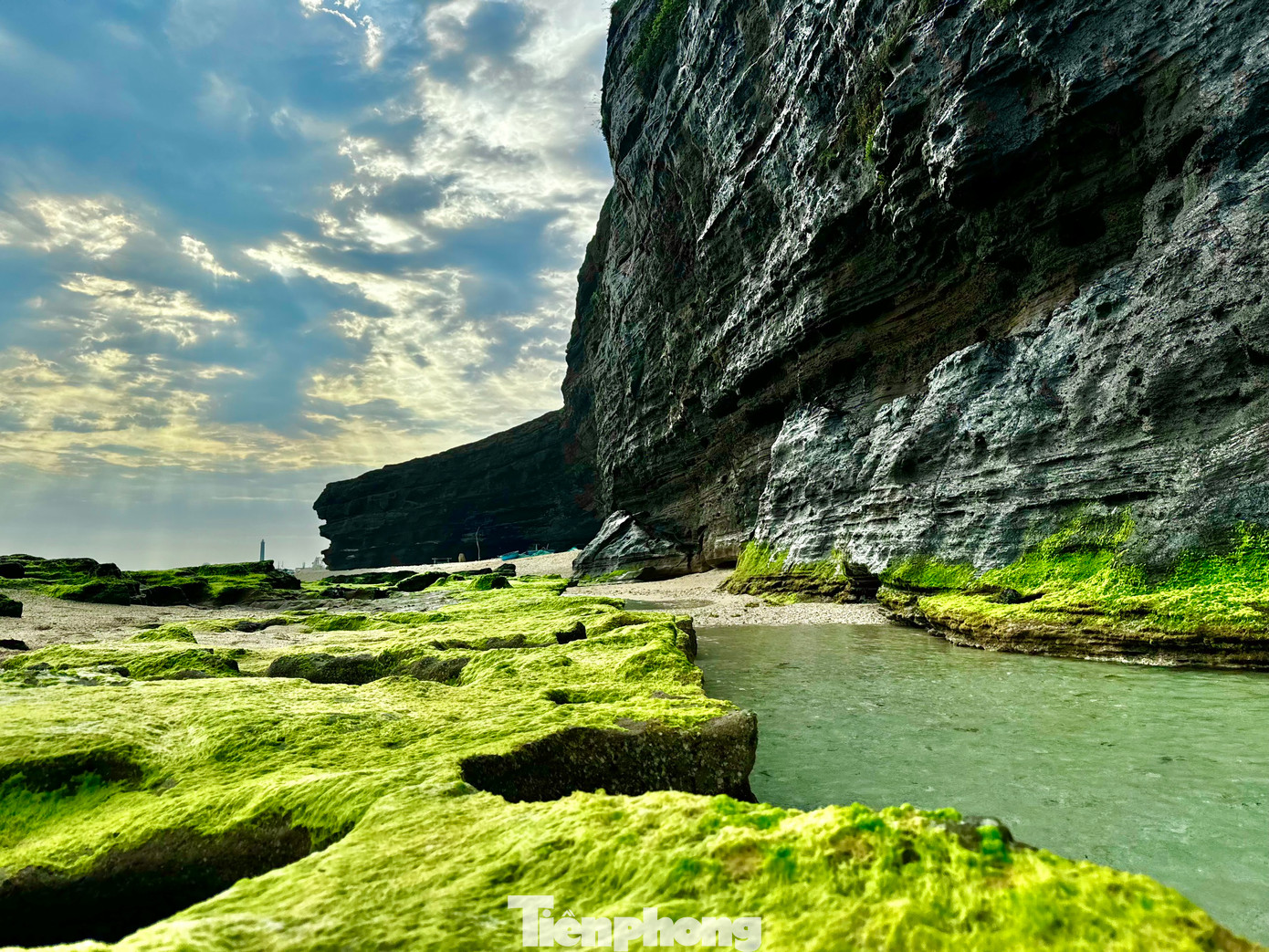 Thảm rêu xanh trên đá núi lửa ở Lý Sơn là món quà thiên nhiên ban tặng, tạo nên vẻ đẹp hoang sơ hiếm có giữa biển khơi. Ảnh: Nguyễn Ngọc.