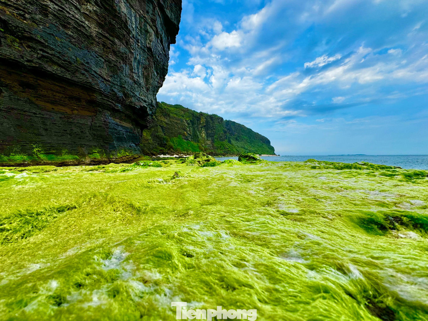 Nằm dưới chân núi Thới Lới, thắng cảnh Hang Câu là một trong những nơi có thảm rêu xanh đẹp nhất. Những lớp rêu phủ kín các tảng đá lớn, tạo nên một khung cảnh xanh mướt giữa biển trời rộng lớn. Ảnh: Nguyễn Ngọc.