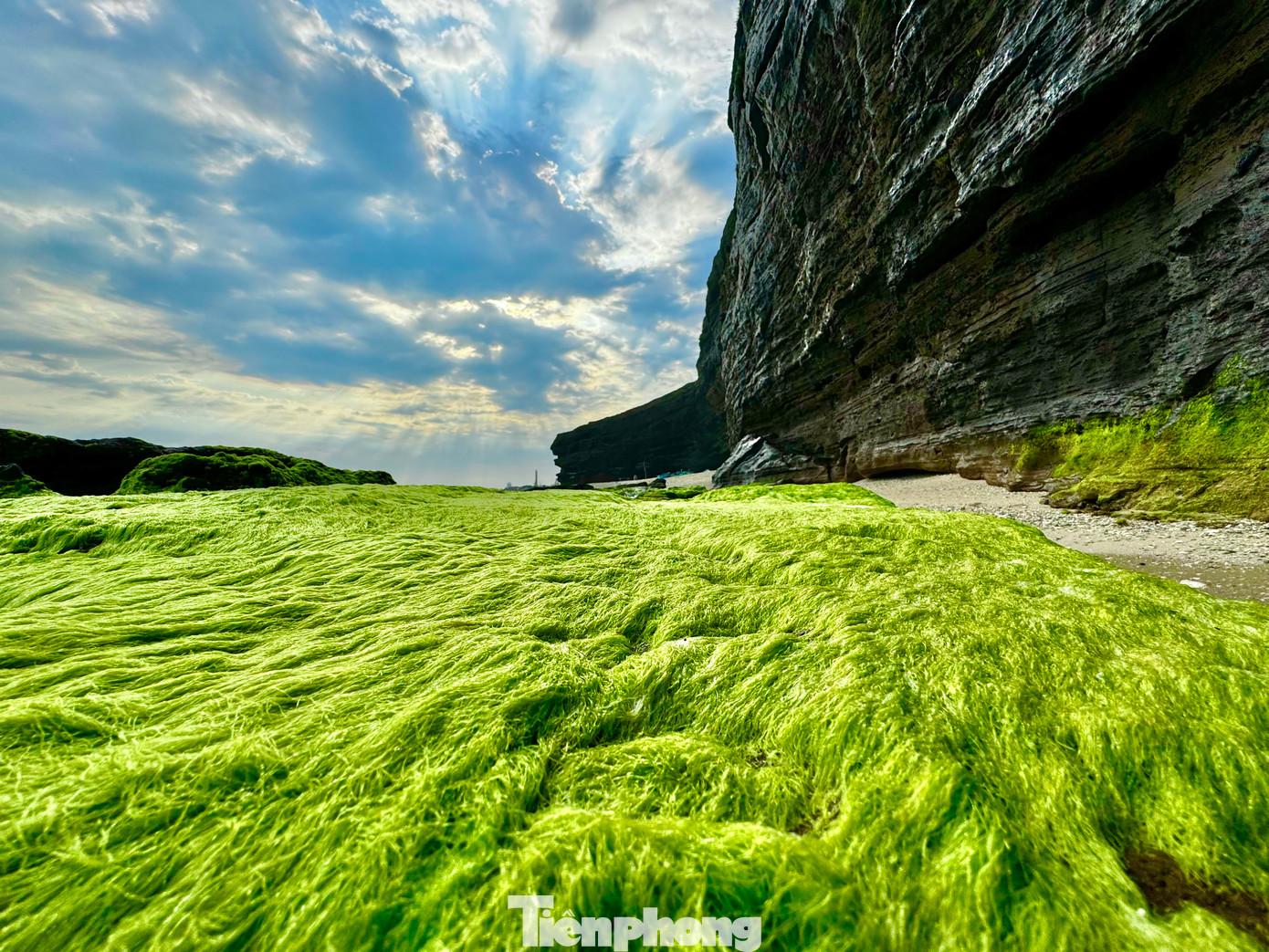 Nằm dưới chân núi Thới Lới, thắng cảnh Hang Câu là một trong những nơi có thảm rêu xanh đẹp nhất. Những lớp rêu phủ kín các tảng đá lớn, tạo nên một khung cảnh xanh mướt giữa biển trời rộng lớn. Ảnh: Nguyễn Ngọc.